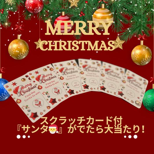 BUHI′S KITCHEN 　国産犬用無添加おやつ　クリスマスセット